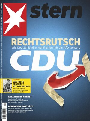 cover image of stern